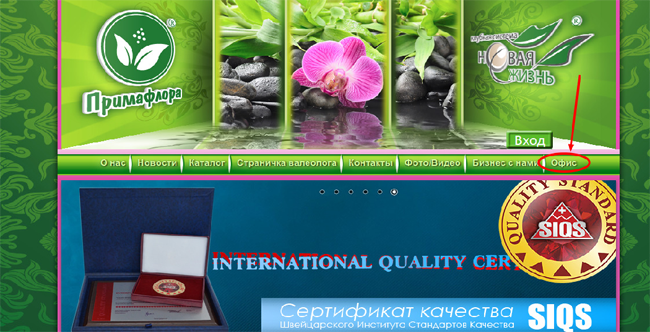 Примафлора чат