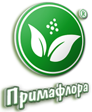 Примафлора