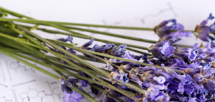 Парфумерія