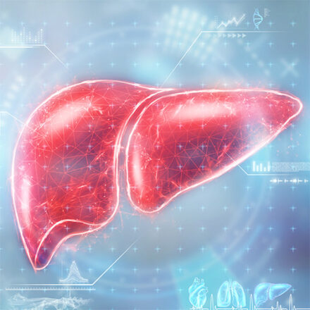 У-Сін, Квітень – профілактика захворювань печінки та жовчного міхура.