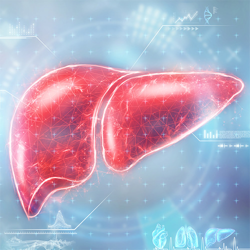 У-Сін, Квітень – профілактика захворювань печінки та жовчного міхура.